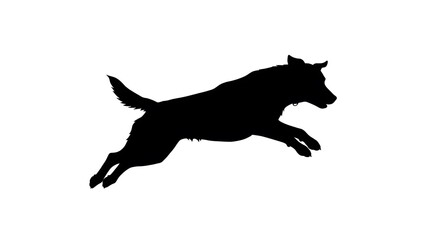 Leaping Dog Silhouette