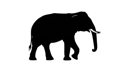Elephant Silhouette Vector Illustration