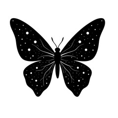 butterfly isolated on white background