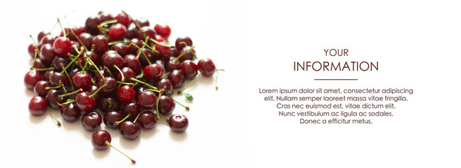 Black cherry. Pattern. Background. Isolation on white background. Advertising banner horizontal. Juicy berries. Space for your information. Template.