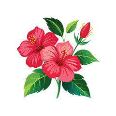 Vibrant Red Hibiscus Flowers Botanical Illustration of Tropical Blooms
