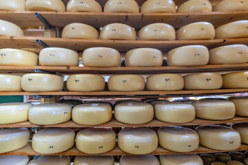 cheese wheels in ripening storage