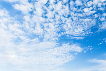 6月の空　朝の青空に白い雲15
