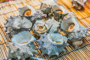 Fresh sea shellfish, Oysters
 at the Kuromon market there is Popular market in Osaka, Japan