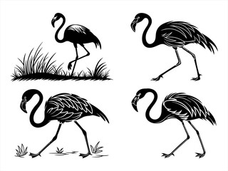 flamingo sihouette black vector bundle