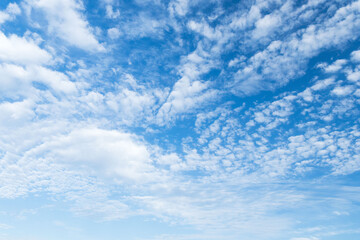 Fototapeta premium 6月の空 朝の青空に白い雲05