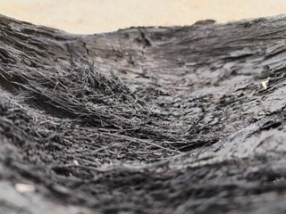 Black coconut husk after burning