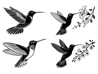 Obraz premium hummingbird-sihouette-blackvector bundle