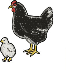 Hen and chicken  vector illustration on transparent background.