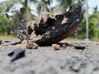 Coconut husk and sand at beach in Malaysia
