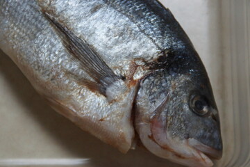 A raw sea bream, fresh and ready to be cooked. Its pearly flesh and shiny skin reflect its quality and freshness.