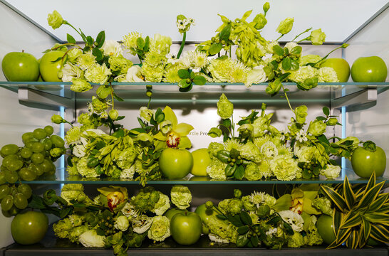 Flowers and plants in the fridge
