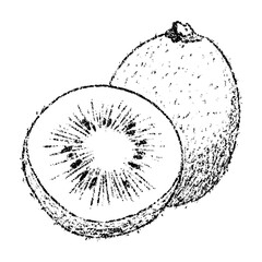 Sketch crayon summer fruit kiwi illustration. Hand drawn scribble doodle dessert tropical plant, sweet and tasty. Pencil texture vector design element for label, package, tag.