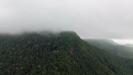 Low clouds rolling over lush, densely forested tropical mountains create a mysterious, atmospheric landscape on a rainy, overcast day, enhancing the sense of wilderness and tranquility