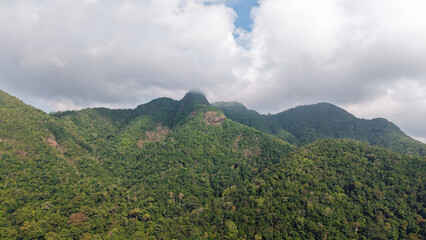 Stunning aerial view of vibrant green jungle cascading over rolling hills, partially veiled by a cloudy sky, creating a serene and captivating landscape