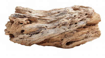 Driftwood with intricate textures and warm tones is isolated on a transparent background, highlighting the beauty of natural weathering processes