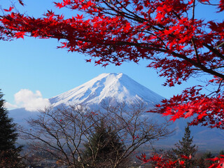 Autumn landscape with Mount Fuji and vibrant red maple leaves in full bloom