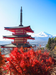 Autumn view of Chureito Pagoda with Mount Fuji in the background, Japan