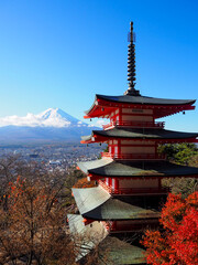 Autumn view of Chureito Pagoda with Mount Fuji in the background, Japan