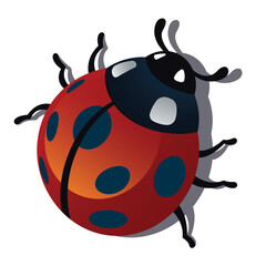 Obraz premium Stylized Vector Illustration of a Ladybug 