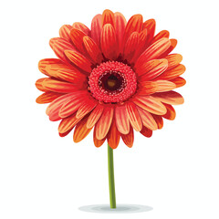 Beautiful Gerbera Flower with Natural Shadow Stock Vector Illustration