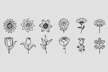 Set of floral vector elements for design with flowers leaves and vintage patterns