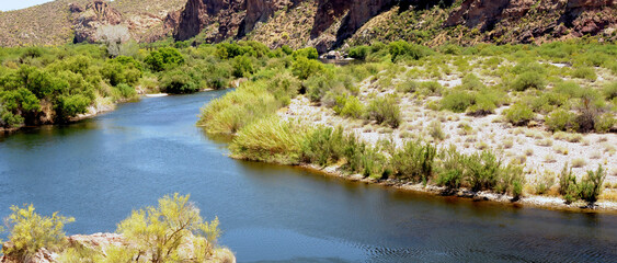 Early Summer Salt River Recreation Area Arizona