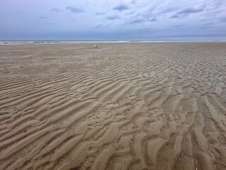 Wattenmeer Wangerooge