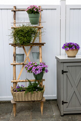 Wooden ladder repurposed as vertical garden displaying vibrant flowers