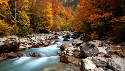 Obraz premium Autumn landscape with colorful trees, flowing river, large rocks, and vibrant foliage creates peaceful, natural scene perfect for relaxation and inspiration