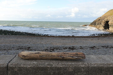 beach and sea