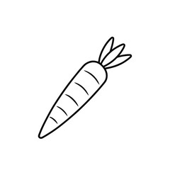 Carrot Outline Vector Drawing on White.
