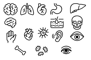 Human organs line icon set, vector illustration