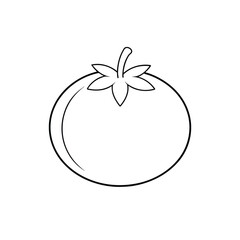 Minimalist Tomato Line Drawing Illustration.
