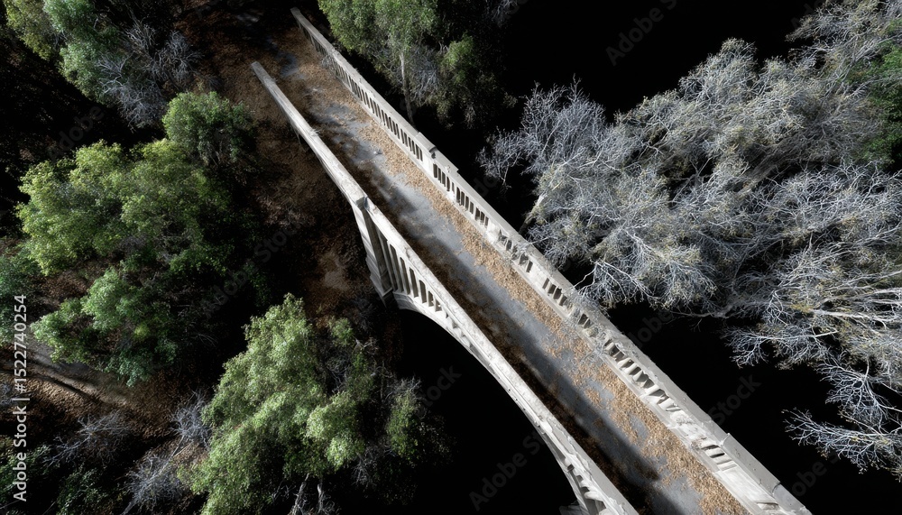 Poster A bridge over a forest with trees on both sides