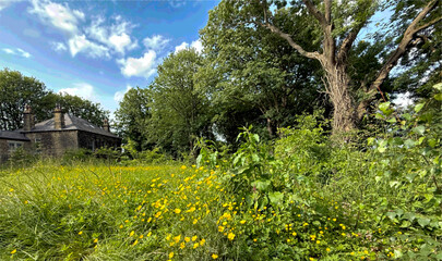Victorian stone houses sit nestled among lush greenery and wildflowers, under a blue sky with scattered clouds. Tall trees surround the area, adding to the serene atmosphere in, Farsley, Leeds, UK