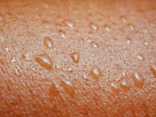 Skin, macro of water drops and texture or body of a person, armhair human and sweat with droplets
