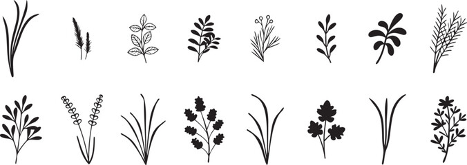 Herb and Flower Collection. Versatile Vector Illustrations for Wedding Stationery, Logos, and Eco-Friendly Projects.