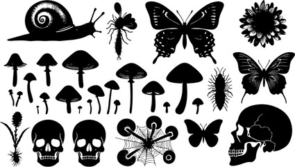  Traditional American Tattoo Flash Elements skull vector  design 