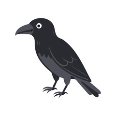 Obraz premium Cartoon illustration of a black raven standing on white background 