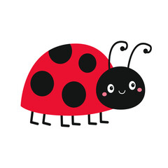 Cute lady bug, lady bird icon. Cute cartoon kawaii funny baby character. Black and red insect. Card Sticker print. Happy Valentines Day. Childish style. Flat design. White background. Isolated. Vector