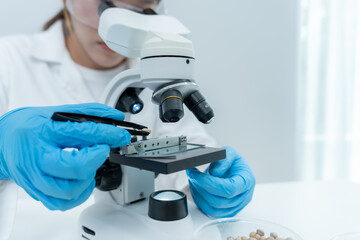 Scientist check chemical whole grains residues in laboratory. Control experts inspect the...
