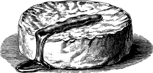 Engraved culinary illustration of baked brie and fig for gourmet delicacies