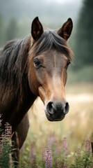 Fototapeta premium Horse standing among wildflowers in a scenic meadow during a hazy morning