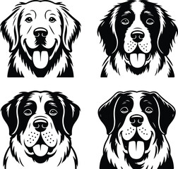 Dog breed portraits Golden Retriever, Saint Bernard, Bernese Mountain Dog