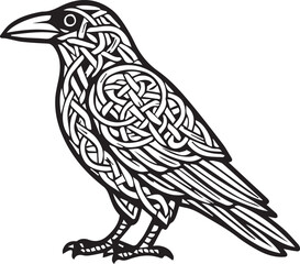 crow in vector