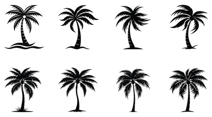 Pair of palm trees vector set with tropical silhouette and reflection variations