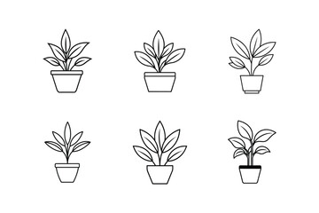 indoor plant icon line art vector illustration