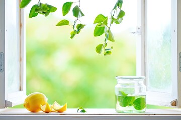 Lemon Slices, Mint Infused Water, Green Leaves Adorn An Open Wooden Window