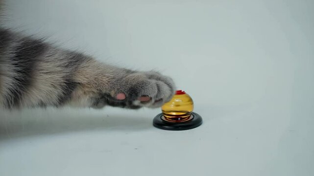 A cat&rsquo;s paw gently pressing a glowing button &mdash; clean white background.